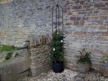 Gardening tips from Debby